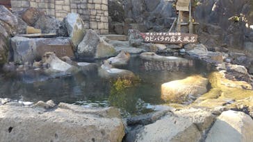 伊豆シャボテン動物公園に投稿された画像（2021/11/24）