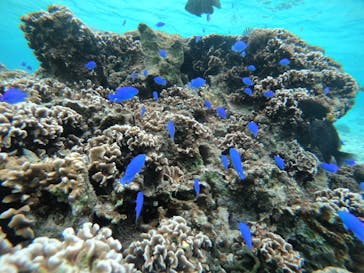 武藤潜水に投稿された画像（2021/11/25）