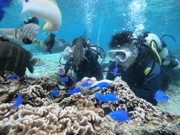 武藤潜水に投稿された画像（2021/11/25）