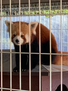 熱川バナナワニ園に投稿された画像（2021/11/25）