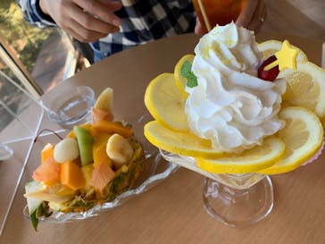 熱川バナナワニ園に投稿された画像（2021/11/25）