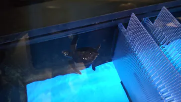 すみだ水族館に投稿された画像（2021/11/25）