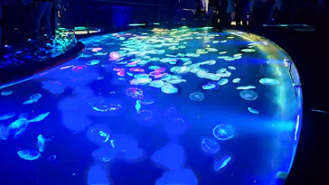 すみだ水族館に投稿された画像（2021/11/25）