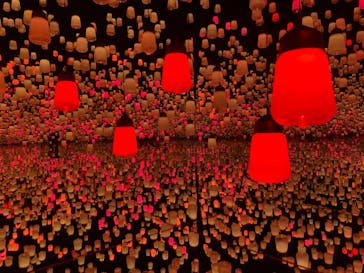 森ビル デジタルアート ミュージアム：エプソン チームラボボーダレスに投稿された画像（2021/11/25）