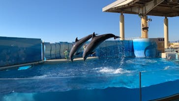 新江ノ島水族館に投稿された画像（2021/11/25）