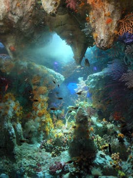 サンシャイン水族館に投稿された画像（2021/11/25）