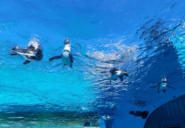 サンシャイン水族館に投稿された画像（2021/11/25）
