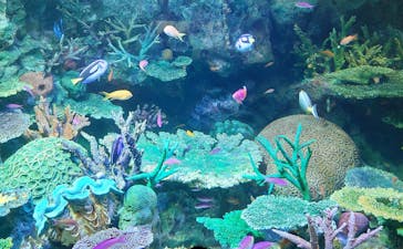 サンシャイン水族館に投稿された画像（2021/11/25）