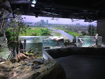 カワスイ 川崎⽔族館に投稿された画像（2021/11/25）