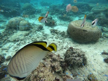 武藤潜水に投稿された画像（2021/11/25）