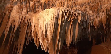 おきなわワールドに投稿された画像（2021/11/25）