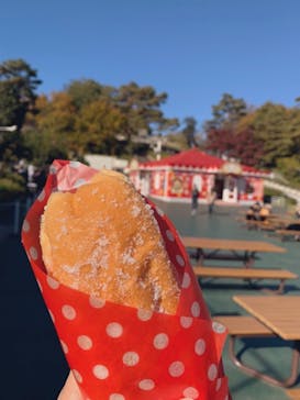 西武園ゆうえんちに投稿された画像（2021/11/25）