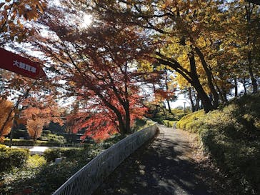 西武園ゆうえんちに投稿された画像（2021/11/25）