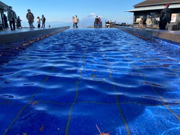 伊豆パノラマパークに投稿された画像（2021/11/25）