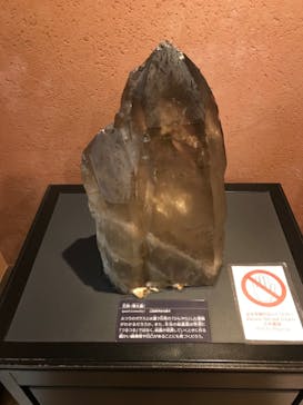 国立科学博物館に投稿された画像（2021/11/25）