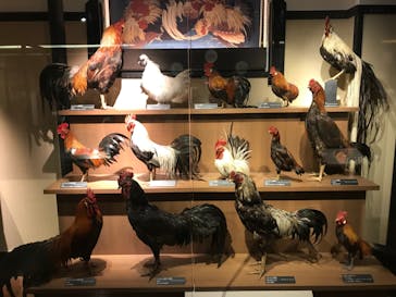 国立科学博物館に投稿された画像（2021/11/25）