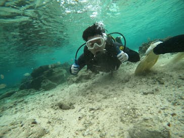 武藤潜水に投稿された画像（2021/11/25）