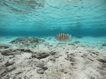 武藤潜水に投稿された画像（2021/11/25）