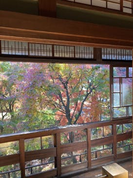 江戸東京たてもの園に投稿された画像（2021/11/25）