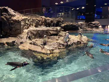 すみだ水族館に投稿された画像（2021/11/25）