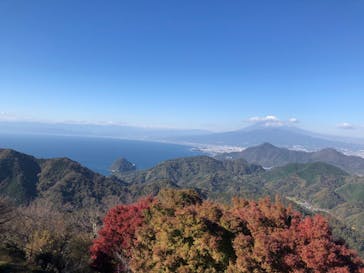 伊豆パノラマパークに投稿された画像（2021/11/25）