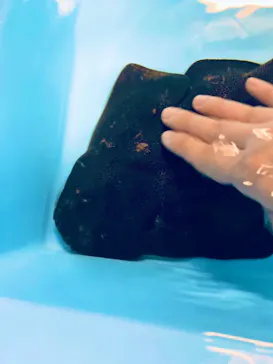 横浜・八景島シーパラダイスに投稿された画像（2021/11/25）