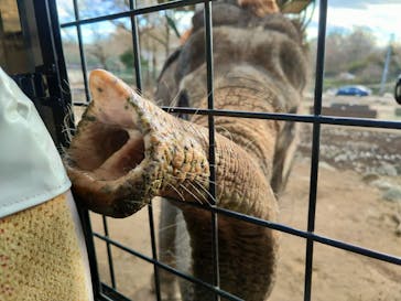 那須サファリパークに投稿された画像（2021/11/25）