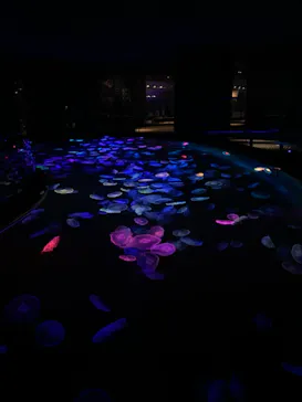 すみだ水族館に投稿された画像（2021/11/25）