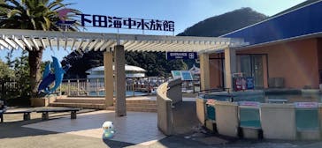 下田海中水族館に投稿された画像（2021/11/25）