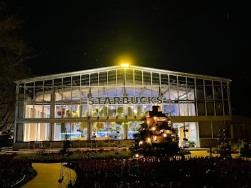 よみうりランド HANA･BIYORIに投稿された画像（2021/11/25）