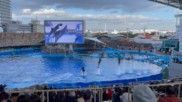 名古屋港水族館に投稿された画像（2021/11/25）