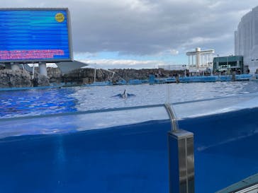 名古屋港水族館に投稿された画像（2021/11/25）