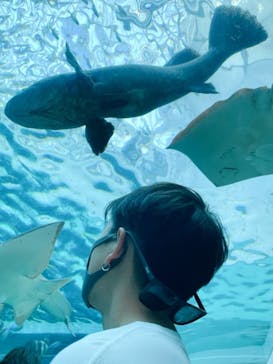 名古屋港水族館に投稿された画像（2021/11/25）