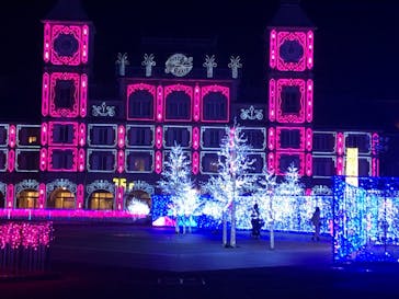 神戸イルミナージュに投稿された画像（2021/11/25）