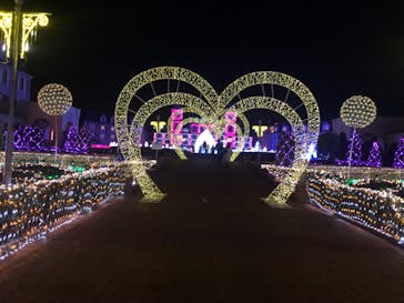 神戸イルミナージュに投稿された画像（2021/11/25）