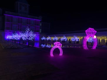 神戸イルミナージュに投稿された画像（2021/11/25）