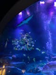 すみだ水族館に投稿された画像（2021/11/25）