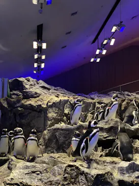 すみだ水族館に投稿された画像（2021/11/25）