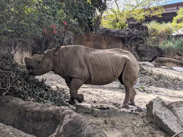 天王寺動物園に投稿された画像（2021/11/25）