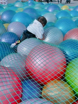 伊豆ぐらんぱる公園に投稿された画像（2021/11/25）