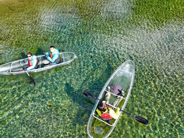 仁淀川アウトドアセンターに投稿された画像（2021/11/25）