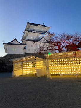 小田原城に投稿された画像（2021/11/26）