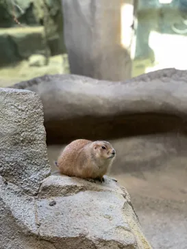 神戸どうぶつ王国に投稿された画像（2021/11/26）