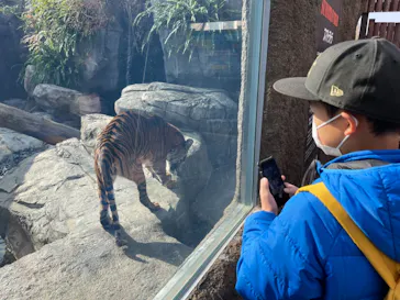 神戸どうぶつ王国に投稿された画像（2021/11/26）