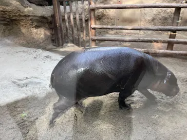 神戸どうぶつ王国に投稿された画像（2021/11/26）