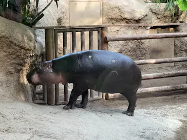 神戸どうぶつ王国に投稿された画像（2021/11/26）