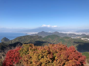 伊豆パノラマパークに投稿された画像（2021/11/26）