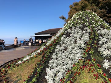 伊豆パノラマパークに投稿された画像（2021/11/26）