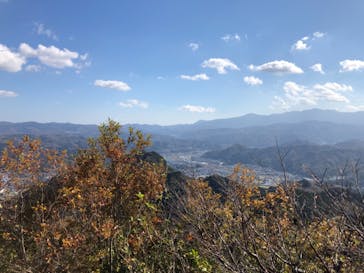 伊豆パノラマパークに投稿された画像（2021/11/26）