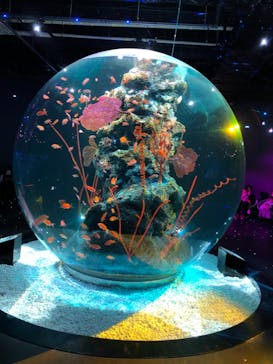 神戸みなと温泉 蓮に投稿された画像（2021/11/26）